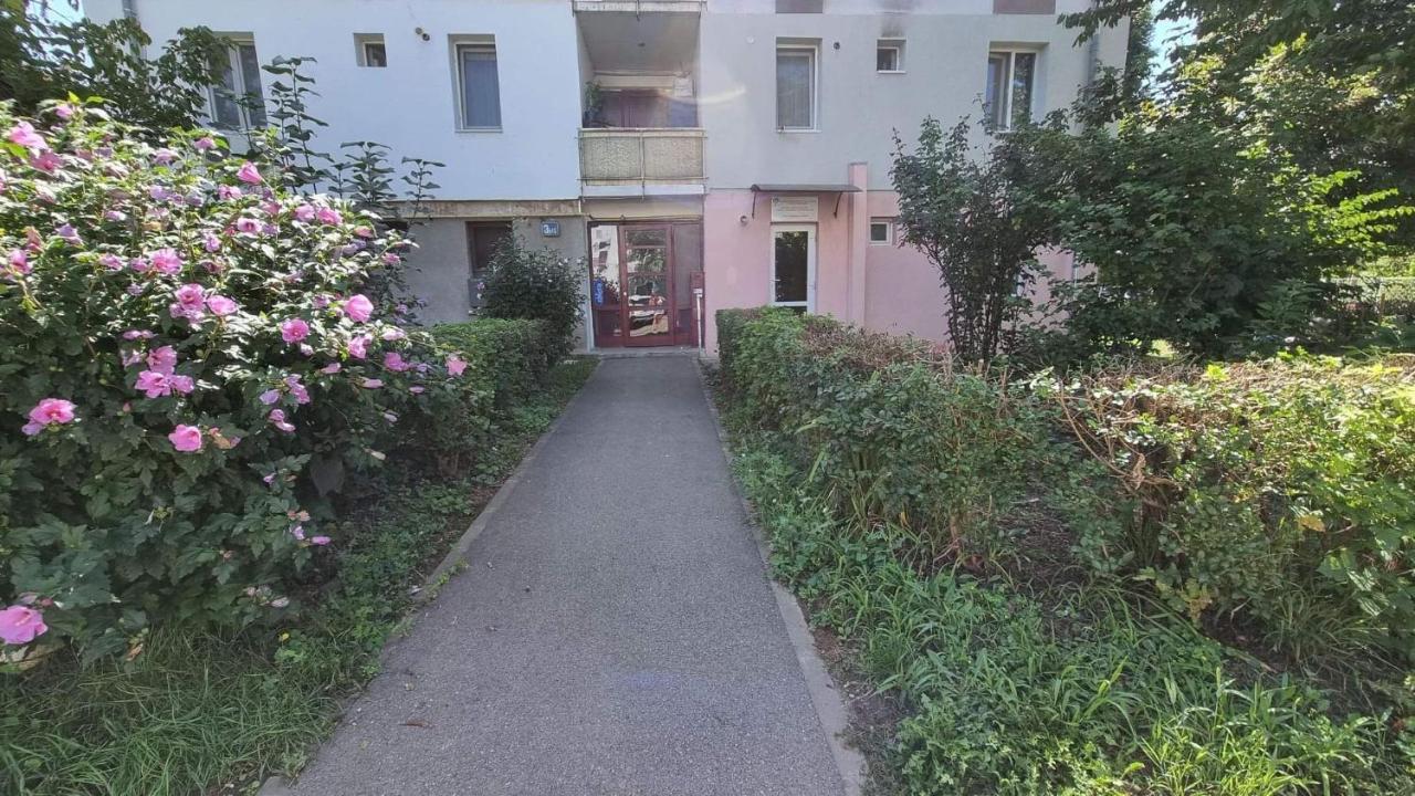 Studio Vale Leilighet Hunedoara Eksteriør bilde